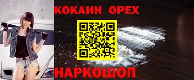крисы Малоярославец