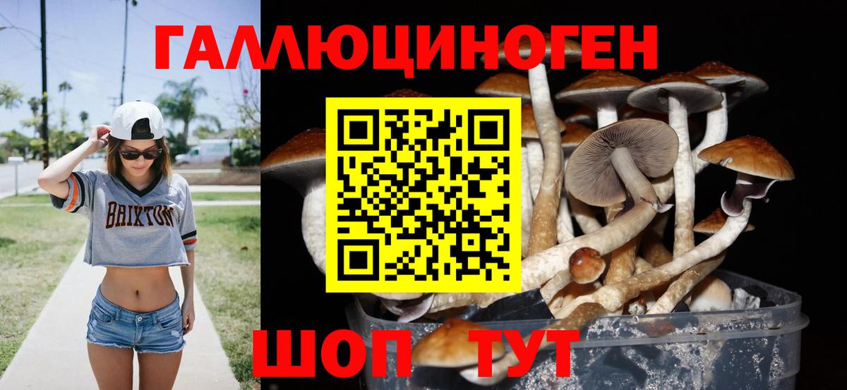 Галлюциногенные грибы MAGIC MUSHROOMS  Вход с VPN  Галлюциногенные грибы GOLDEN TEACHER  Выборг 