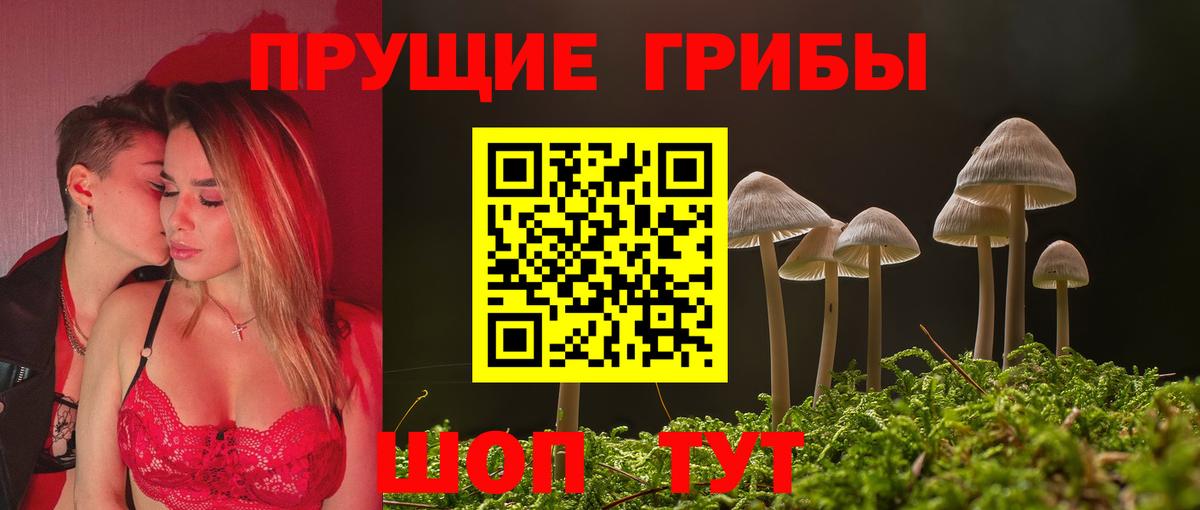 Галлюциногенные грибы Psilocybine cubensis Выборг